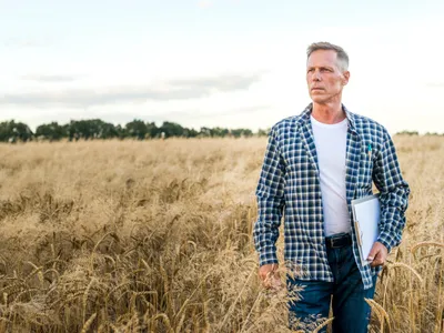 Producțiile de grâu și orz din România vor fi cu 16% mai mici față de 2025, conform unui raport european - Foto: Freepik (Imagine cu rol ilustrativ)