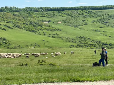 Povestea bătrânului care de 75 de ani și-a petrecut fiecare zi pe câmp cu oile. Ce viață a avut? - Foto: Newsweek