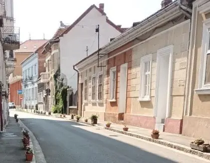 Ghivece cu flori în Oradea- Foto: BIHOREANUL