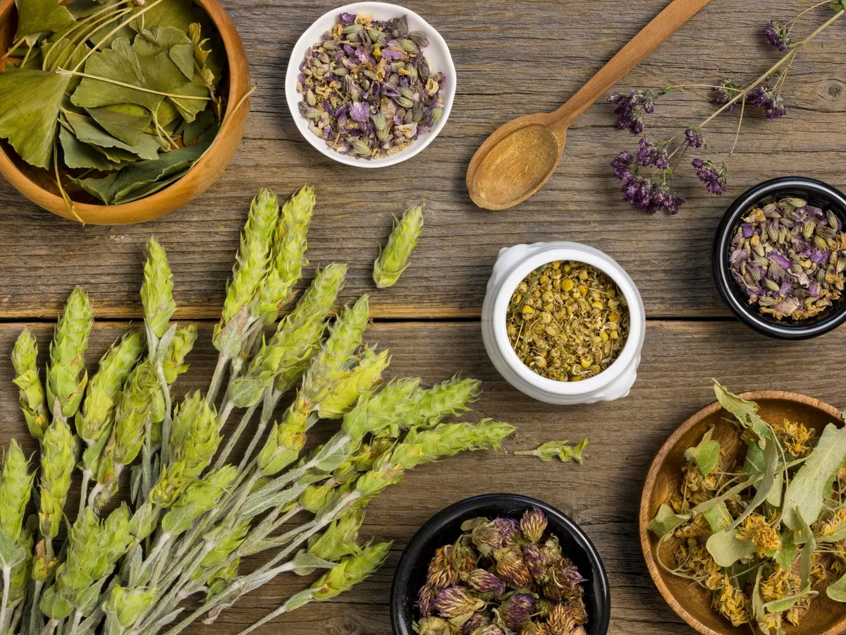 Planta medicinală care te scapă de varice. Reduce inflamația, tonifiază pielea. Nu e în magazin - Foto: Freepik (imagine cu rol ilustrativ)