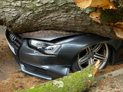 Accident de maşină - Foto: Pexels/Mike Bird