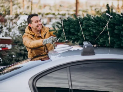 Bărbat cu brad Foto: Freepik (imagine cu rol ilsutrativ)