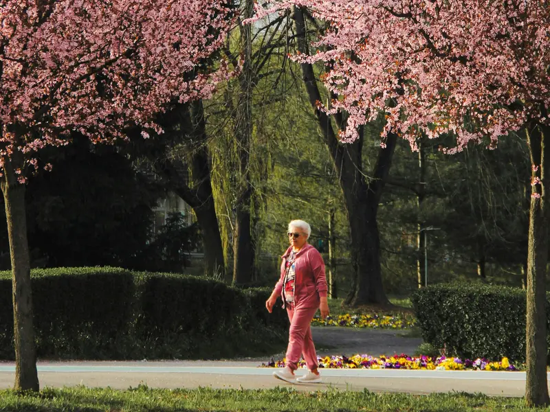 În ce oraș din România se află cea mai frumoasă stradă din Europa - FOTO: Pexels(imagine cu rol ilustrativ)