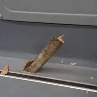 Un autobuz STB, străpuns de șina de tramvai pe care circula. Fierul a ieșit în cabină - Foto: Facebook/STB Tribuna angajatilor
