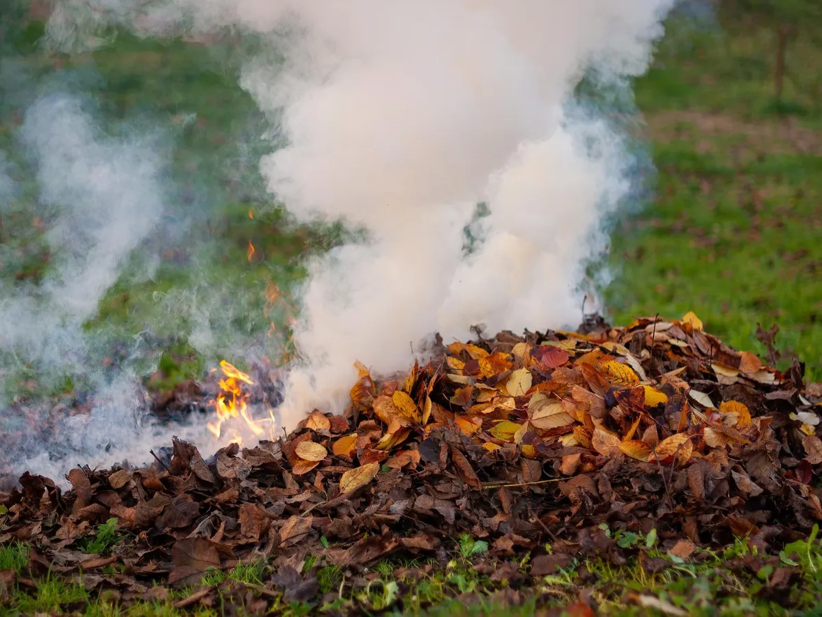 Frunze care ard - Foto: Freepik (rol ilustrativ)