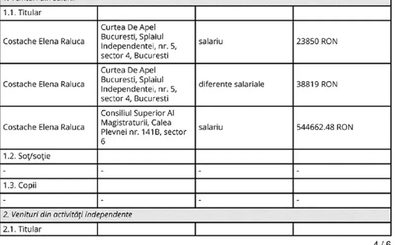 Costache Elena - Declarație avere - Foto: ANI