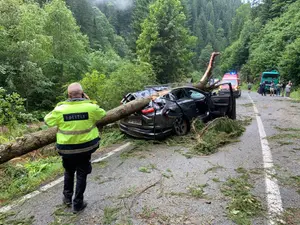 O femeie a decedat pe Transalpina după ce un copac a căzut pe o mașină - Foto: ISU Alba