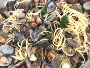 Scoici mediteraneene în Marea Neagră. Specialiștii au început un nou experiment Foto: Alle intalianse (fotografie cu caracter ilustrativ)