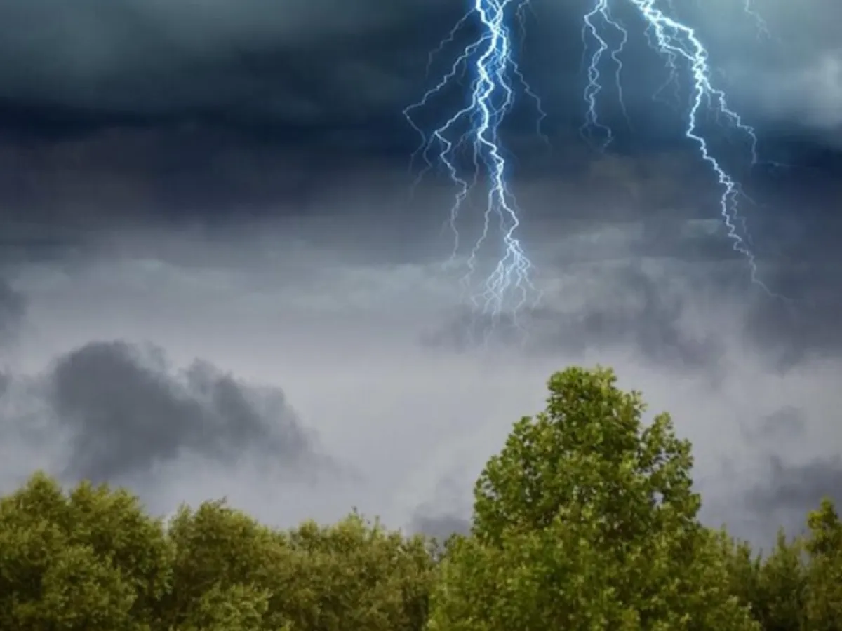 Furtuna - Foto: Freepik (rol ilustrativ)
