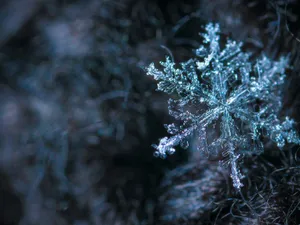 VREMEA Cum va fi iarna anul acesta în România? Va fi înregistrat un nou record de temperatură Foto: Pexels (fotografie cu caracter ilustrativ)