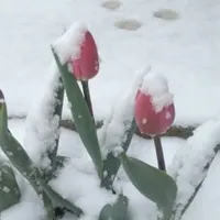 Cum arată iarna din mijlocul primăverii Foto: meteoplus