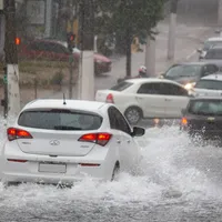 S-au rupt norii în Capitală. Vijelia a smuls zeci de copaci din rădăcini. 71 de mașini, distruse - Foto: Profimedia images - Caracter ilustrativ