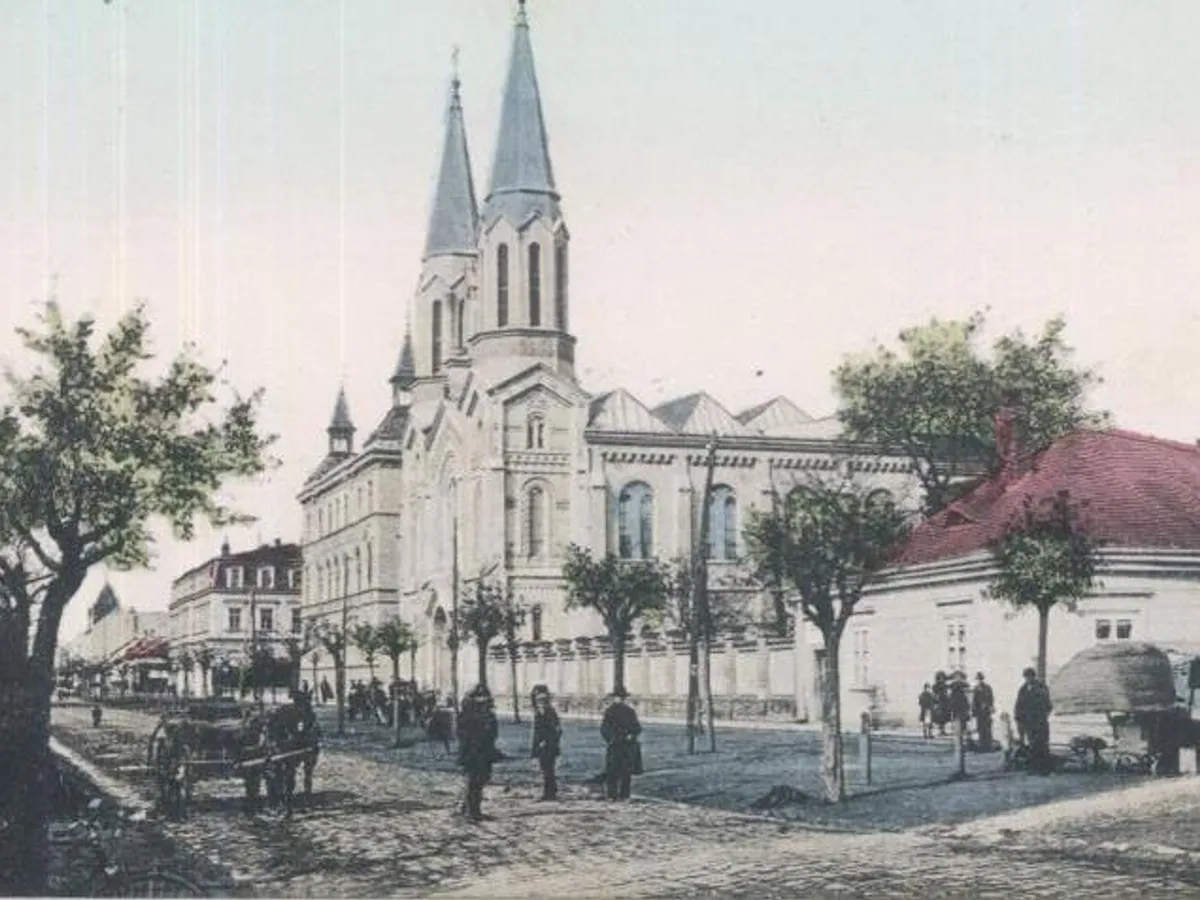 Strada asfaltata Timisoara veche