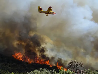 Rusia, campanie de dezinformare despre incendiile din Franța și Spania. „De ce nu pot fi stinse?” - Foto: Profimedia Images (imagine cu  rol ilustrativ)