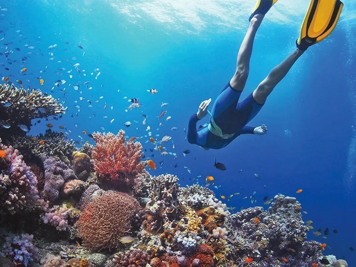 Explorați un parc marin în doi. Seychelles, Hotel Constance Ephelia Resort 5*