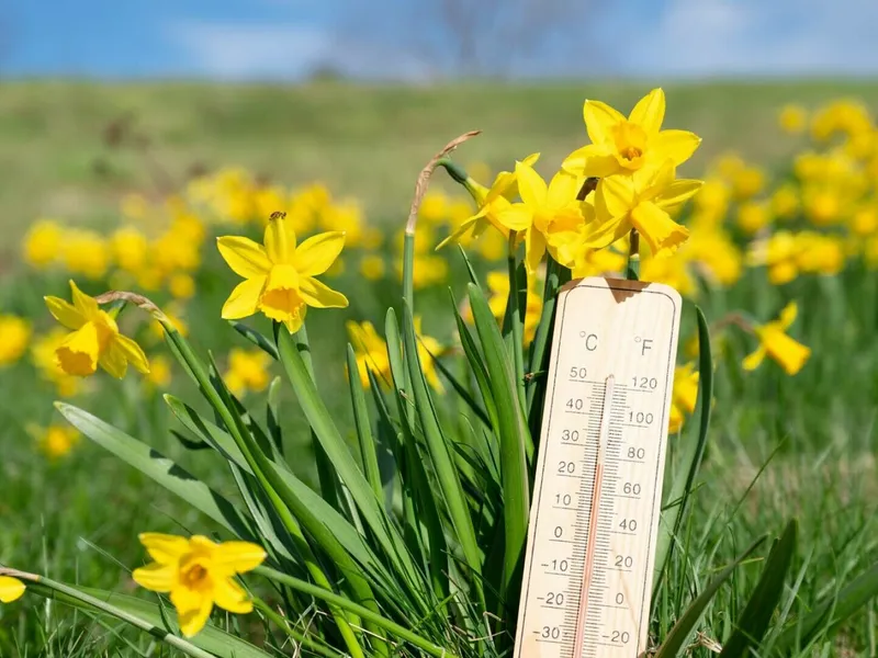 METEO Vremea se răcește considerabil zilele următoare! La ce ne putem aștepta și ce zone sunt vizate - Foto: Profimedia Images (imagine cu rol ilustrativ)