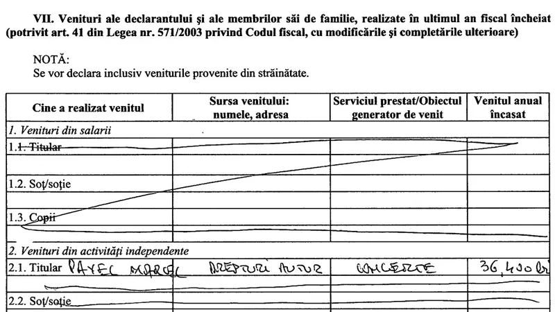 Sursa: Declarație de avere Marcel Pavel / ANI