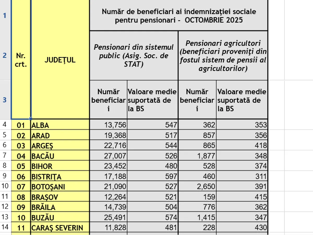 Pensie socială - Foto: Casa de Pensii