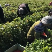 Venitul minim garantat, acordat încă 3 luni persoanelor vulnerabile care se angajează Foto: Stirile ProTV