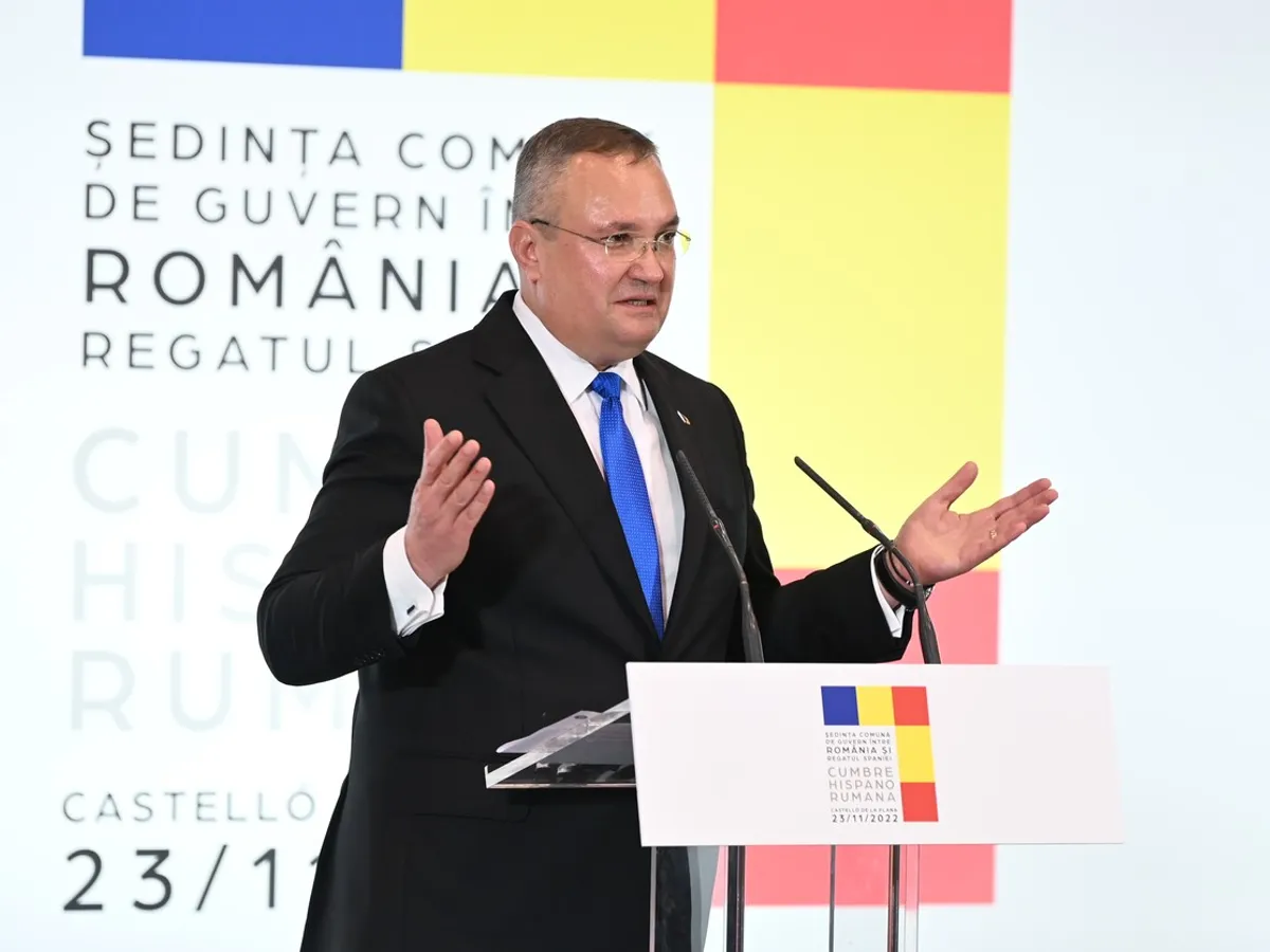 Nicolae Ciucă - Foto: Profimedia