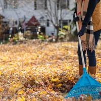AMENDĂ de până la 50.000 lei pentru românii care stau la țară, dacă fac asta. Mare grijă! - Foto: Istock / imagine cu rol ilustrativ