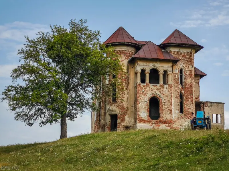 Conacul Dumitru Roșianu - Foto: țaracubalauri.ro