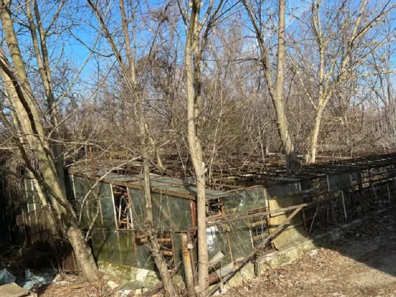Serele Pomicola Băneasa, ruinse râvnite de mogulii imobiliari. Sursă foto: Newsweek România