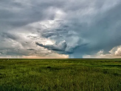 VREMEA Cod roșu de furtuni în toată țara. Care sunt regiunile lovite de vijelii foto: Pexels (fotografie cu caracter ilustrativ)