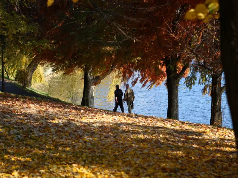 Trupul neînsuflețit al unui bărbat a fost găsit în lacul Herăstrău, în apropierea unei terase/FOTO: Inquam Photos / Oana Pavelescu