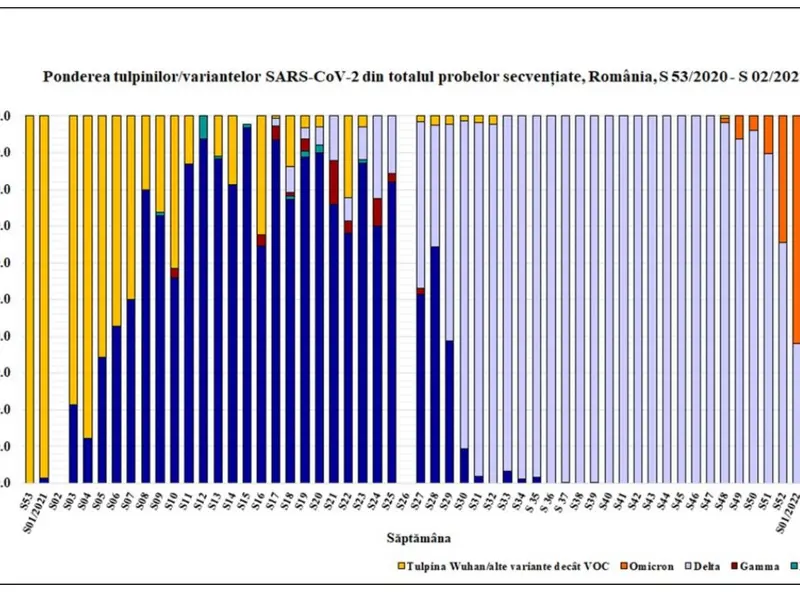 Pondere Omicron și Delta în probele secvențiate. Sursa: INSP