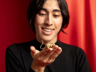 Horoscop Chinezesc săptămâna 21-26 aprilie. Dragon - iubire, Cal - extenuare, Șobolan - decizii impulsive - Foto: Freepik (Imagine cu rol ilustrativ)