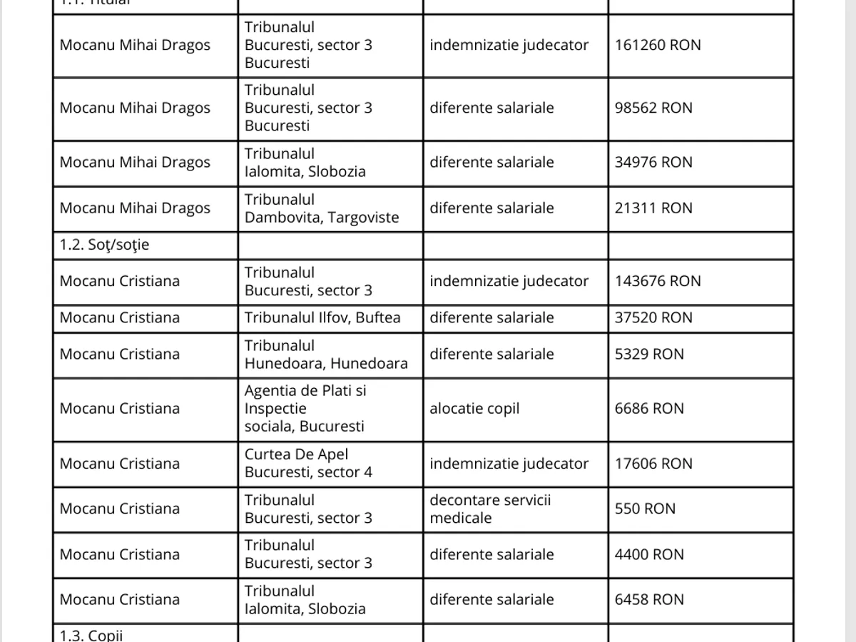 Declarație de avere - Foto: ANI