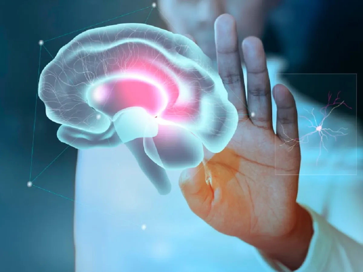 Creier - Foto: Freepik (rol ilustrativ)