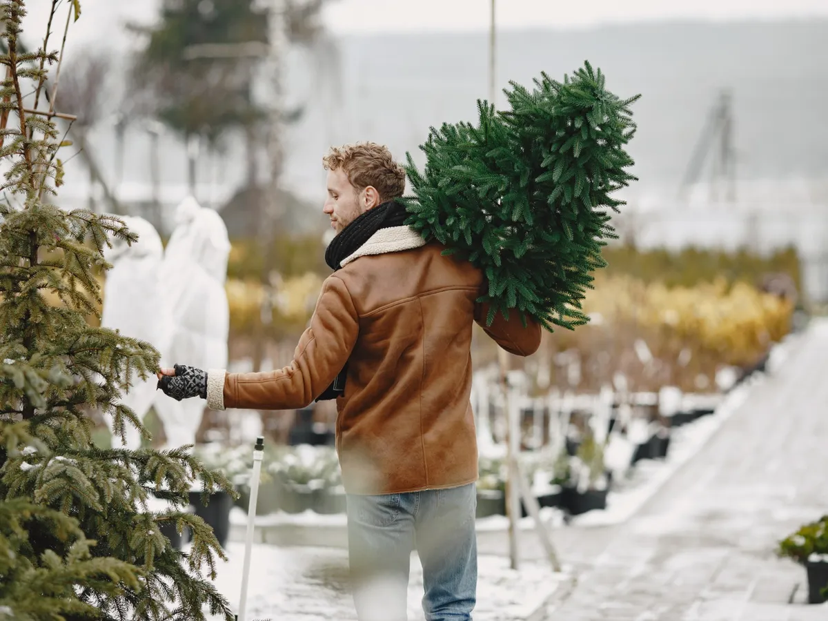 Persoană cu brad - Foto: Freepik (Imagine cu rol ilustrativ)