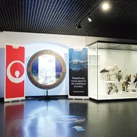 Muzeul Antipa a găzduit diorama multimedia „Plasticul, noua specie de prădător acvatic“, o instalație interactivă despre impactul plasticului în ecosistemele acvatice