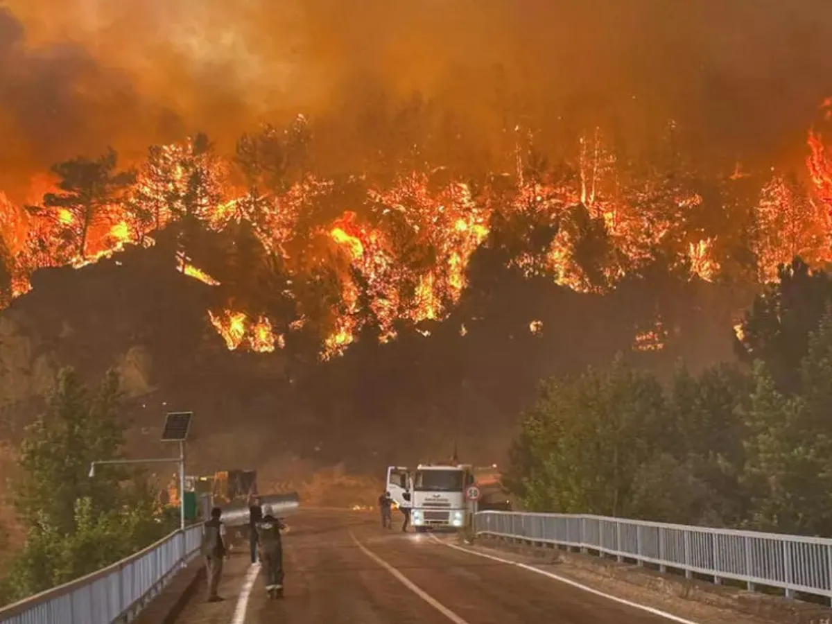Sudul Europei arde la propriu. Incendii masive de vegetație în două țări iubite de români - Foto: Arhova