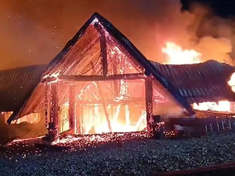 Pensiunea Ferma Dacilor a ars în totalitate Foto: captură video Pro Tv