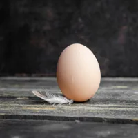 Ouă Foto: Freepik (imagine cu rol ilustrativ)