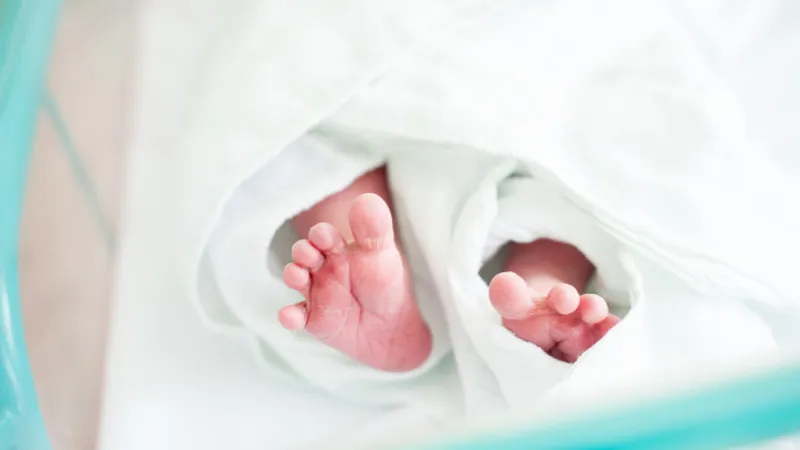 Sugarul a fost născut prematur- Foto: Shutterstock