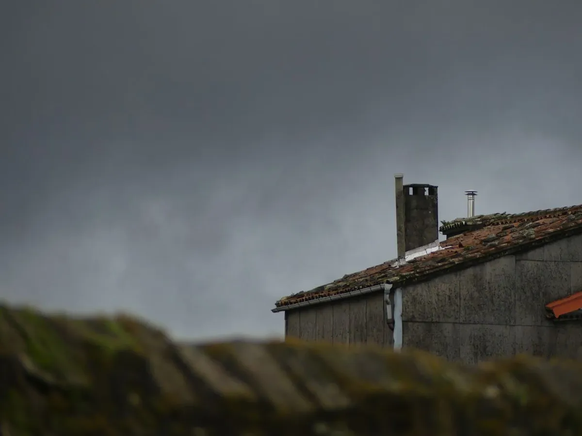 Coș de casă Foto: Pexels (imagine cu rol ilustrativ)