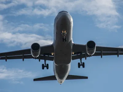 Cum a reușit un șobolan să întârzie trei ore un zbor. Cum a ajuns acesta în aeronavă  - Foto: Profimedia / imagine cu caracter ilustrativ