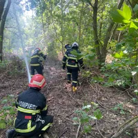 Incendii de vegetație - Foto: IGSU