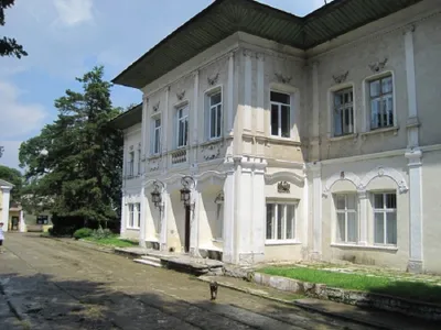 Castelul Cantacuzion-Ghica din Deleni - Foto: monumenteuitate.org