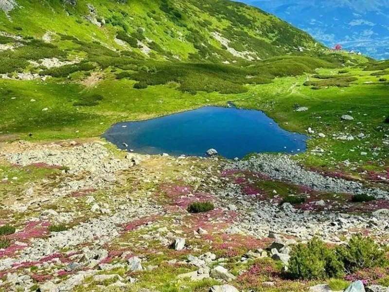 Misterul lacului creat de natură sub forma hărții României. De ce nimeni nu vrea să intre în apă - Foto: Instagram/ Victoria Cirt