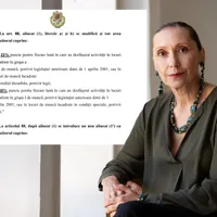 EXCLUSIV 7 erori în recalcularea pensiei. Care pensionari au pierdut bani pe noua lege a pensiilor? - Foto: Colaj