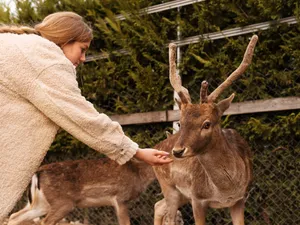 O boală periculoasă a închis două grădini zoologice din Germania. De unde vine pericolul - Foto: Freepik.com (rol ilustrativ)