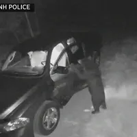 „Delincventul în serie”, cu blană și gheare. / Foto: boston.cbslocal.com
