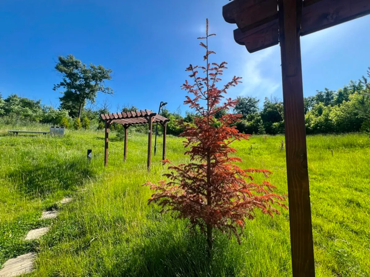 Parcul C.A. Rosetti, de 14 milioane lei, arată deja ca un spațiu abandonat: dotări nefuncționale, degradări