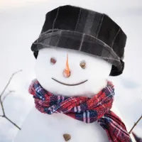 Rusia, în criză economică totală. Rușii scot la vânzare crengi pentru omul de zăpadă. Cât cer pe ele - Foto: Profimedia images - Caracter ilustrativ