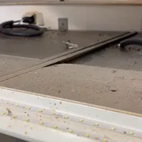 Mizerie, gândaci, produse expirate, în restaurantele și hotelurile de pe Valea Prahovei - Foto: captură video